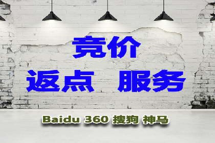 百度竞价推广运营实战技巧与经典案例剖析