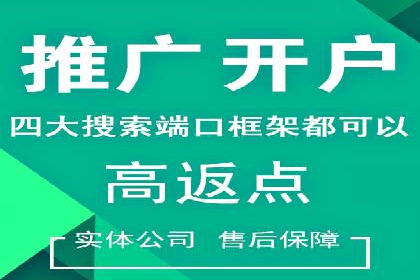 百度推广成功案例：打造行业领军品牌之路